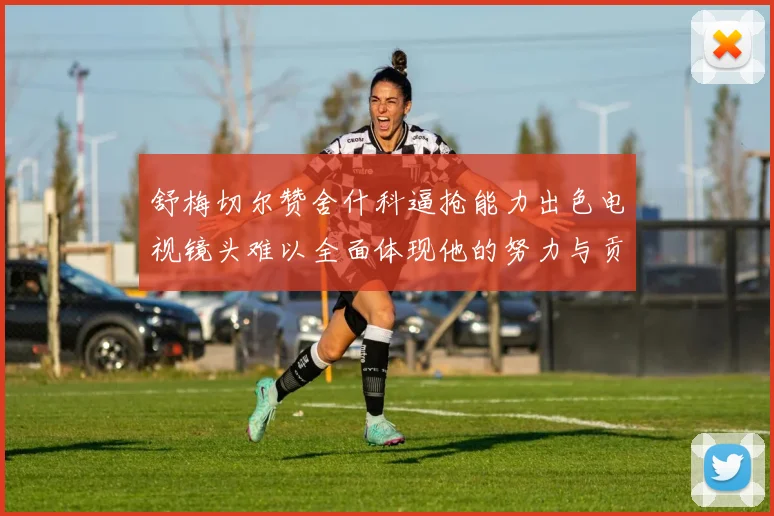 舒梅切尔赞舍什科逼抢能力出色电视镜头难以全面体现他的努力与贡献